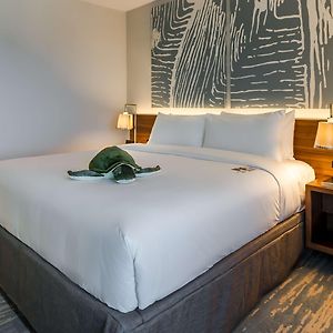 Deluxe Zimmer mit Kingsize-Bett